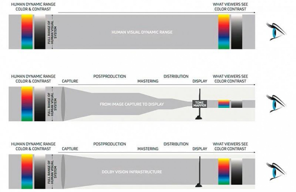 Dolby Vision – что это в телевизоре или телефоне, для чего нужна технология и её будущее