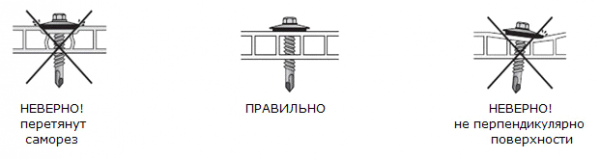 Изготовление теплицы своими руками из профильной трубы и поликарбоната: полное описание процесса, чертежи с размерами, полив и обогрев (Фото & Видео)